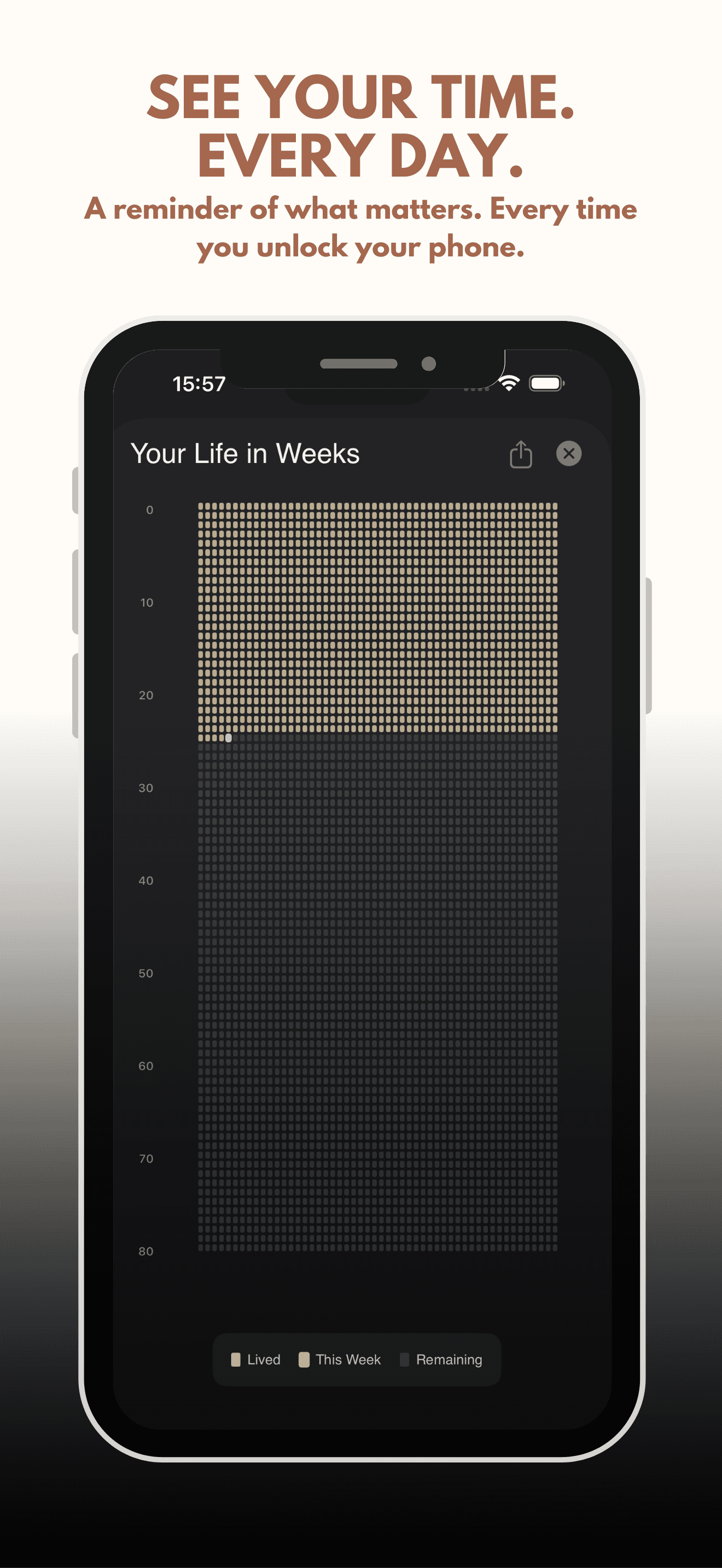 Life Grid - Full View